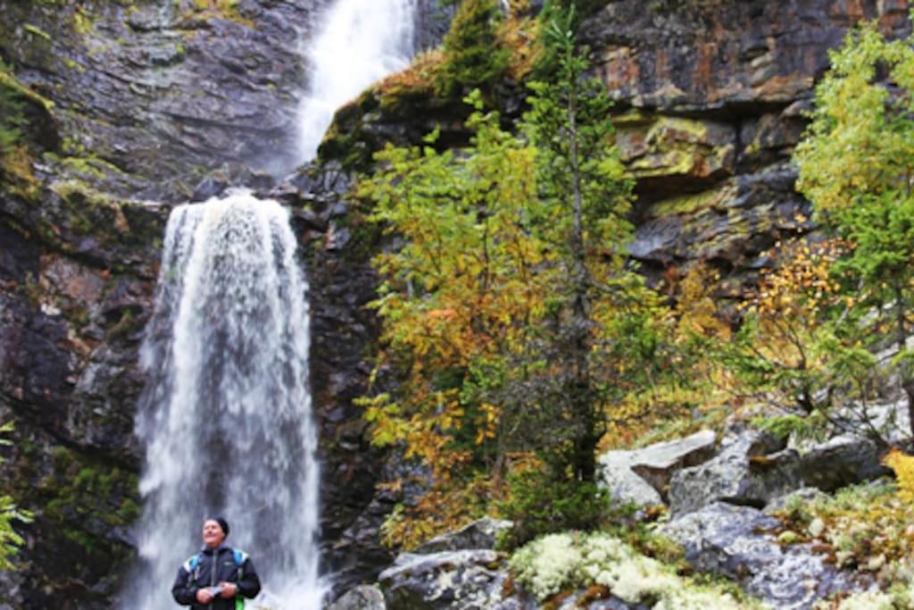 Björnrike Vemdalen. Mitt i backen - Housity