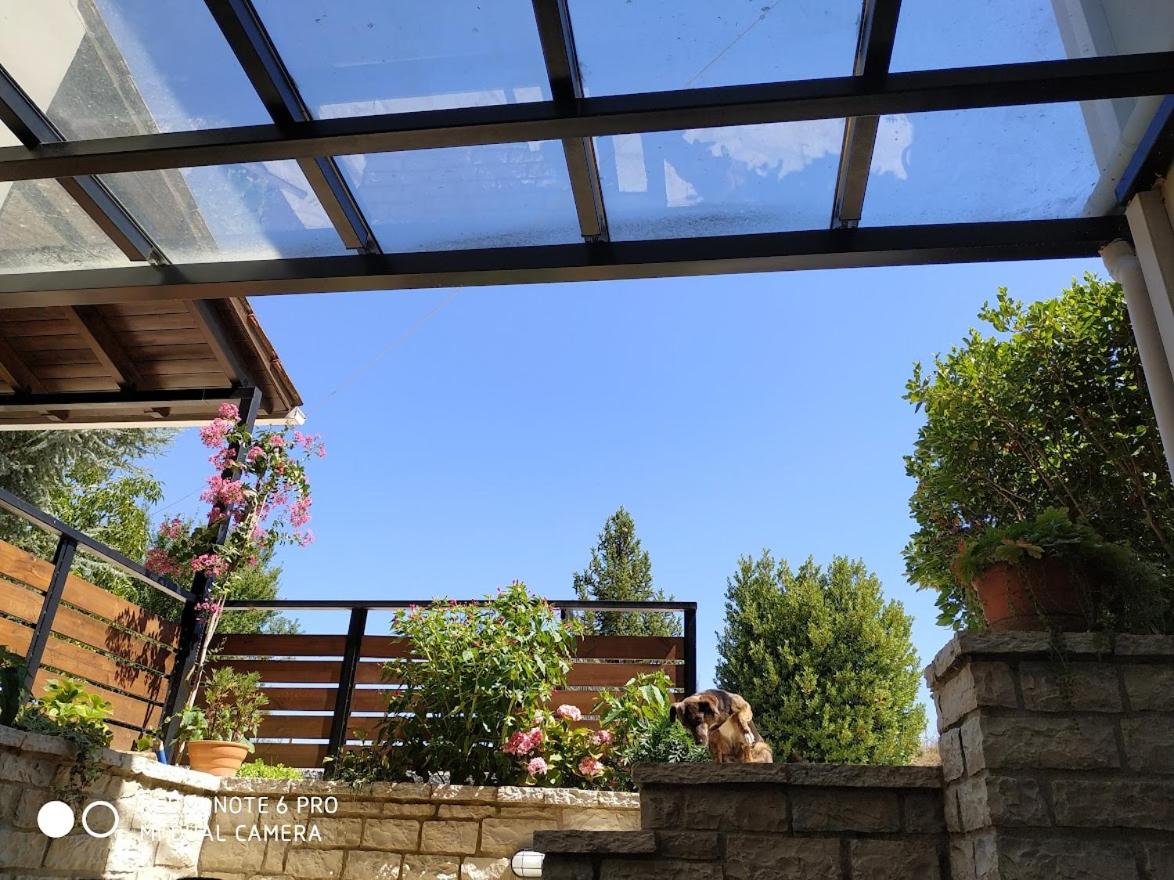 Villa Dioni - Housity