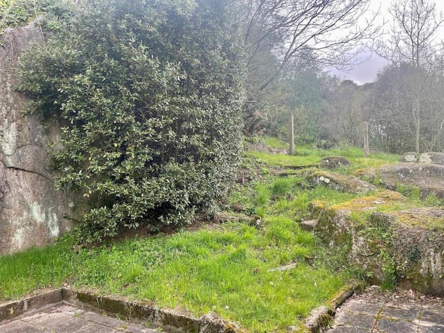 Appartement à Clisson - Housity