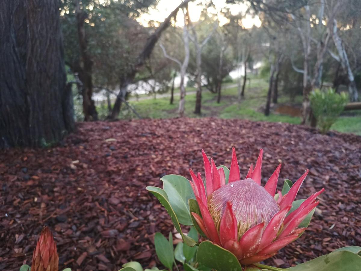 Strathalbyn Cottages - Housity