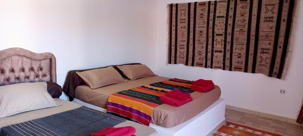 Le Paradis du Sahara chez Nadia et Francis - Housity