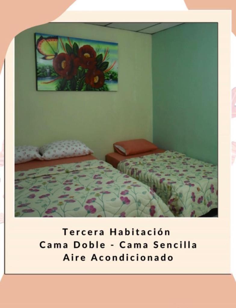 CASA - TAYRONA HOSTEL - Housity