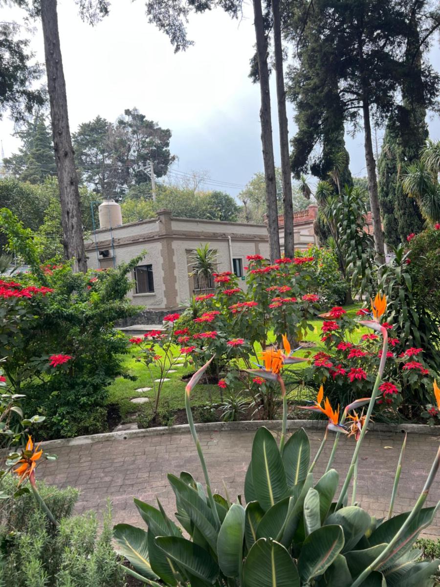 Utopía Hotel Boutique - Housity