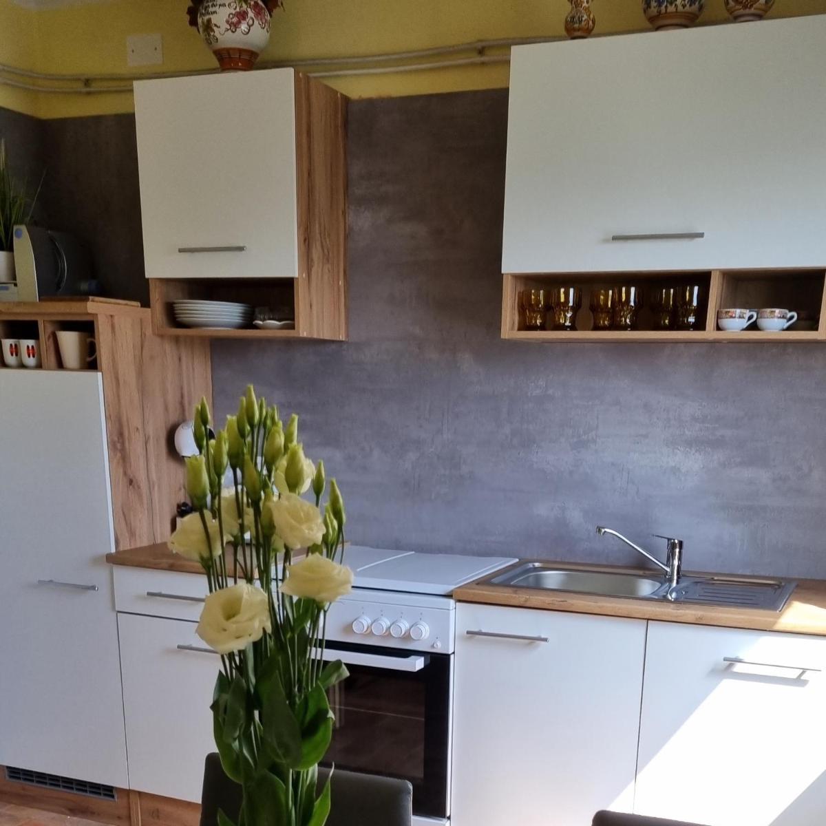Apartma Tanja -Kamnik - Housity