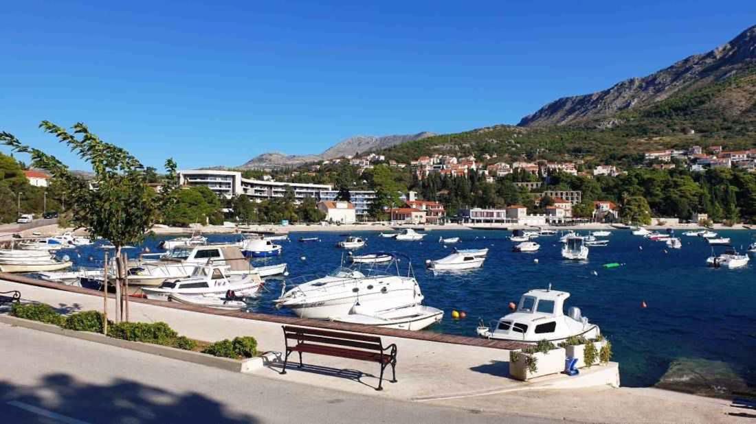 Apartments in Mlini 44021 - Housity