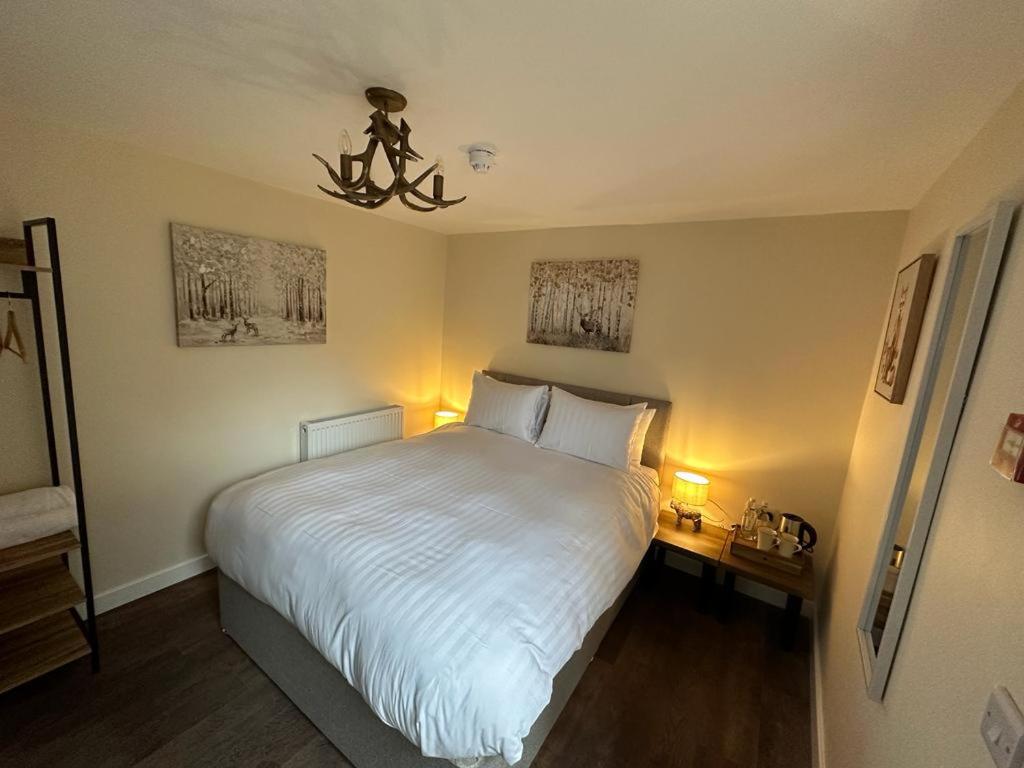 The New Forest Inn - Housity