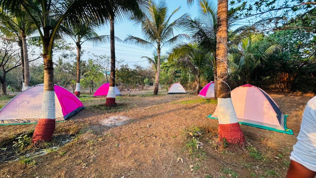 Tent House Mandwa - Housity