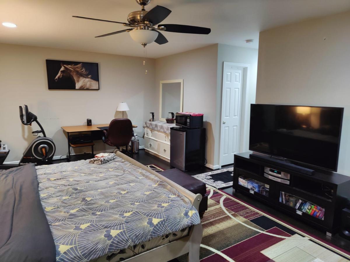 Luxurious stay at prime location - Housity