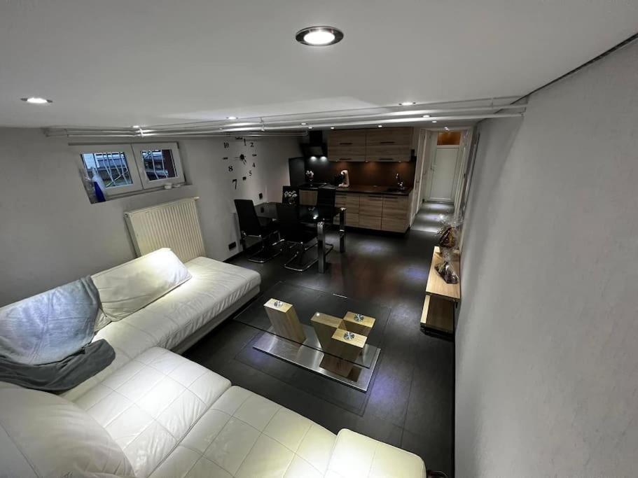 Les hirondelles - Housity