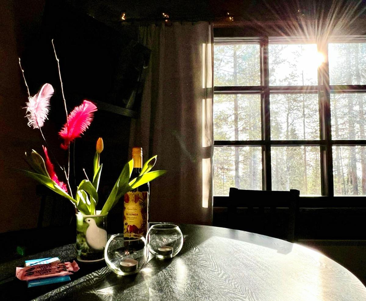 Arctic Lodges Lapland Ski In Family Studio, Wi-Fi, National Park - Lapland Villas - Housity