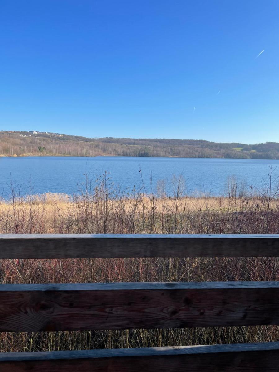 Apartment am See - Borken, Hessen - Housity