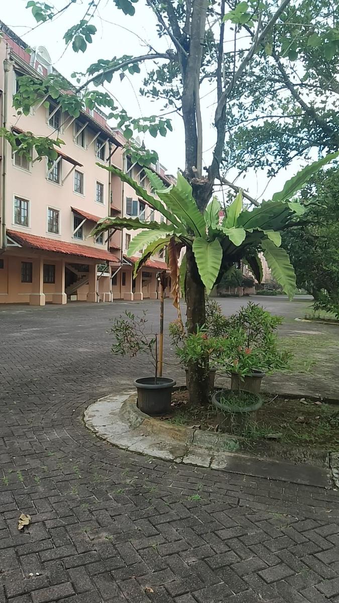 Lippo carita one-bedroom's view - Housity