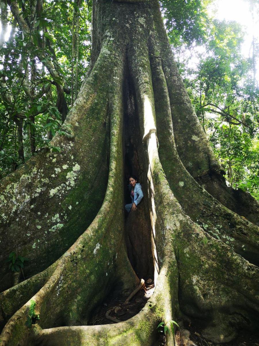Pokakempi Amazon Lodge - Housity