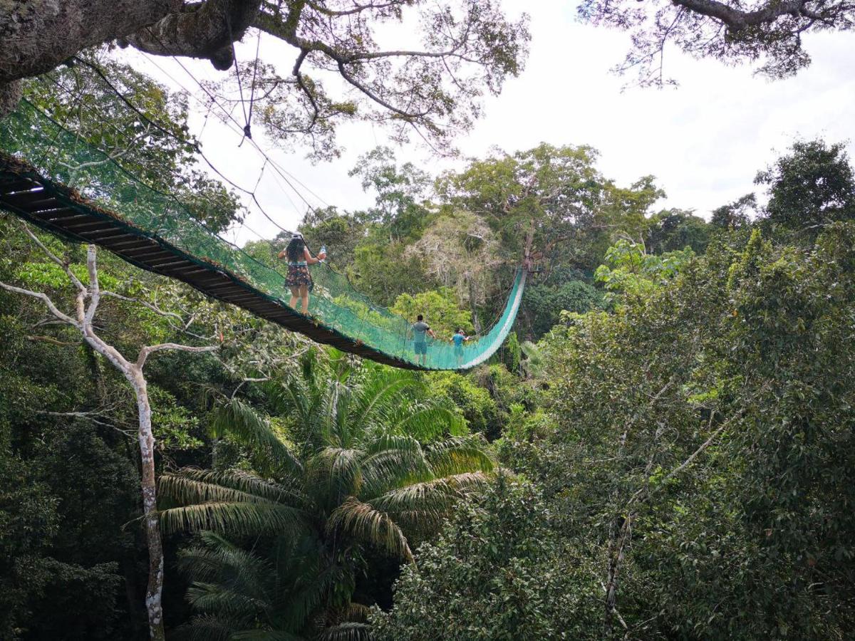 Pokakempi Amazon Lodge - Housity