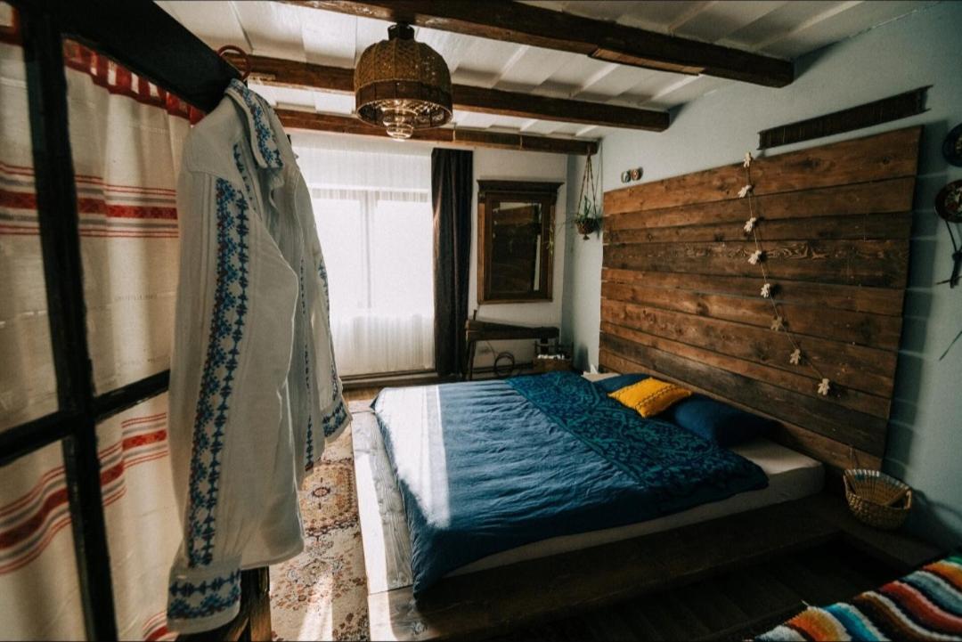 Reședința Petricău - Housity