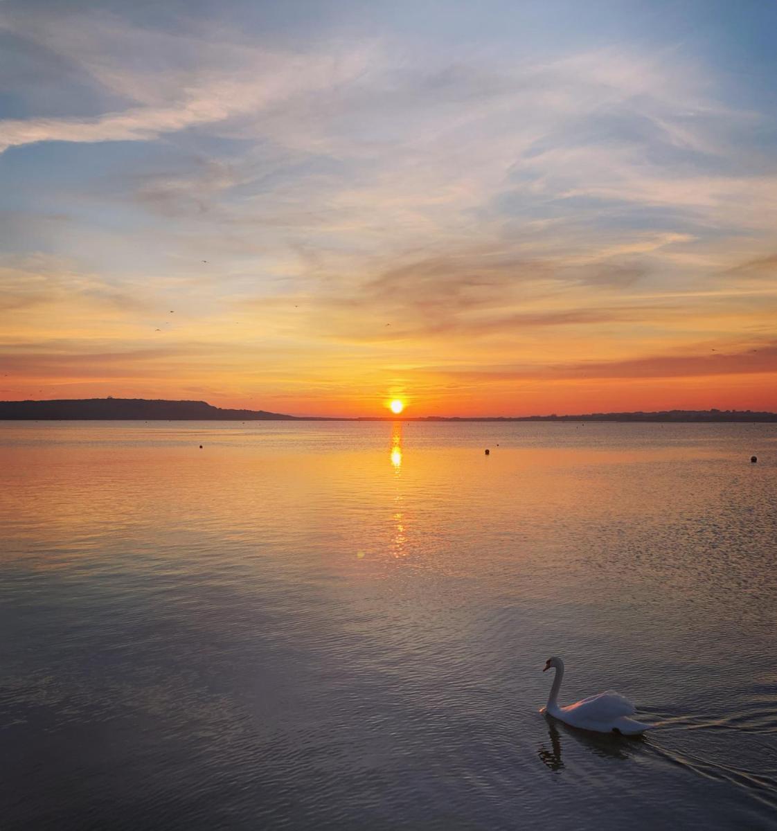 The Oasis - Stylish one bedroom apartment - Mudeford - Housity