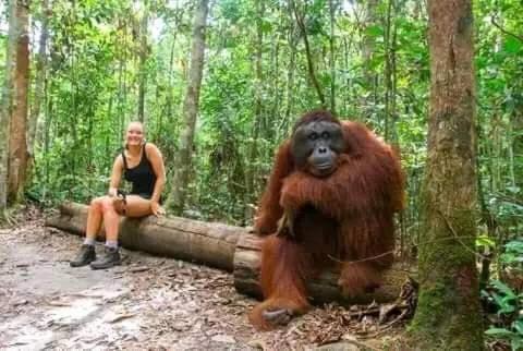 Bukit Lawang- Jungle trekking - Housity