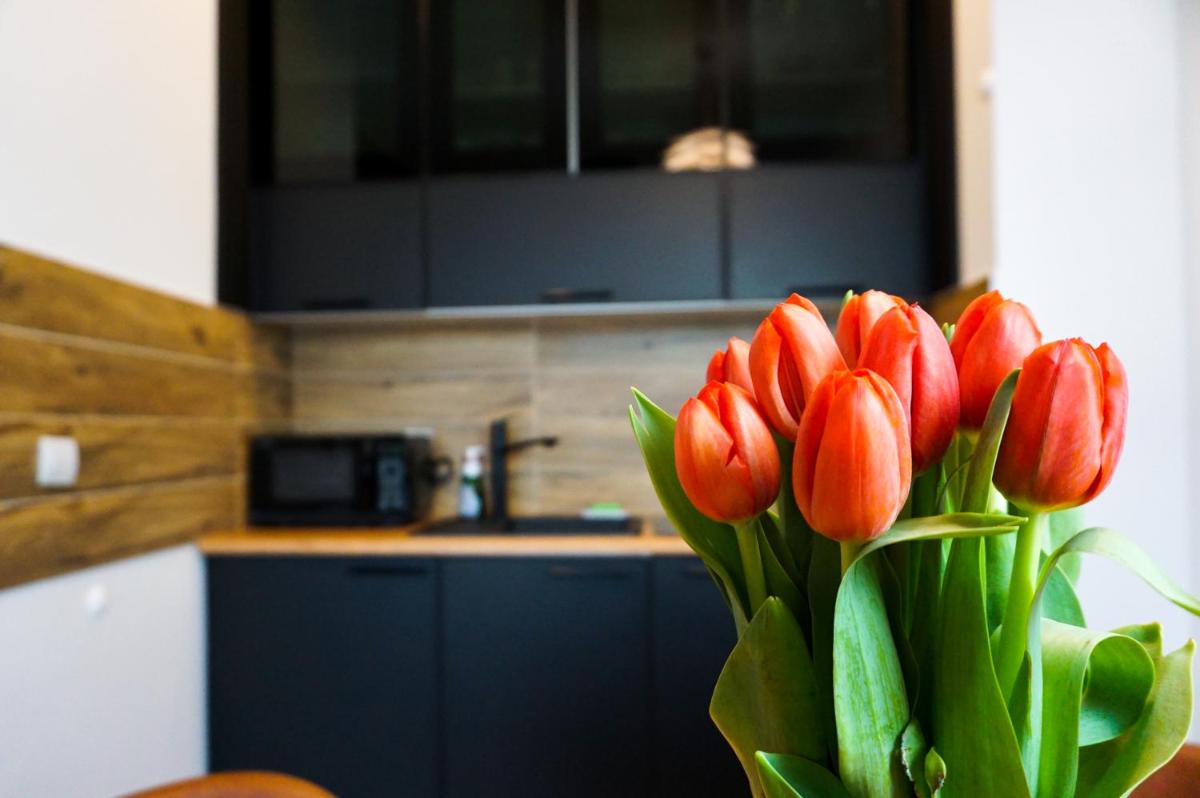 Słoneczny Apartament - Housity