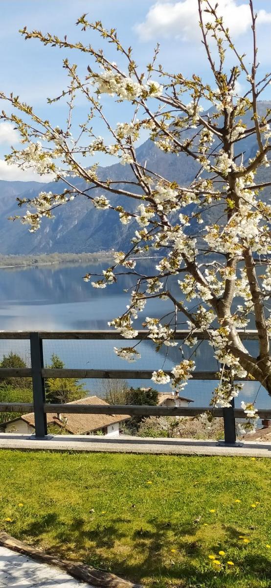 Rocca d'Anfo B&B-Apartments Lake View - Housity