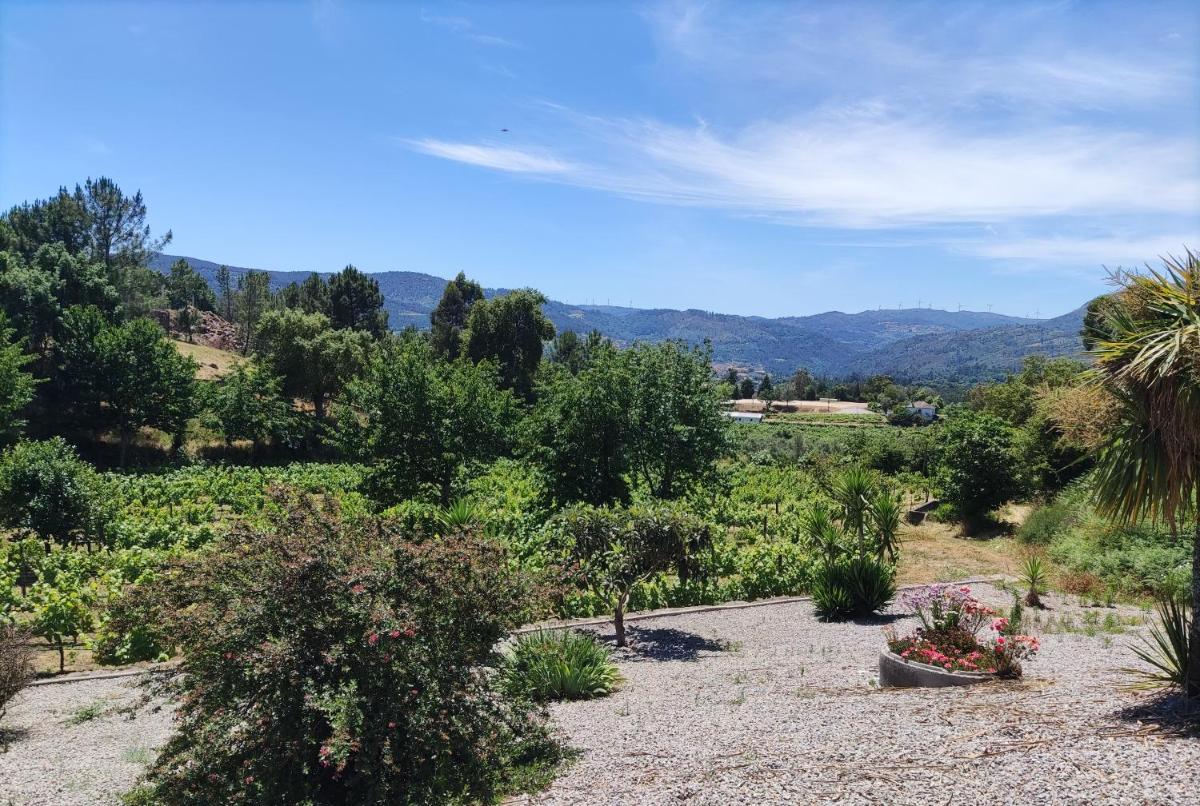 Quinta da Paixão - Bed & Breakfast - Housity