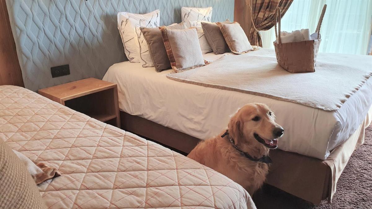Un ou plusieurs lits dans un hébergement de l'établissement Hôtel Macchi Restaurant & Spa