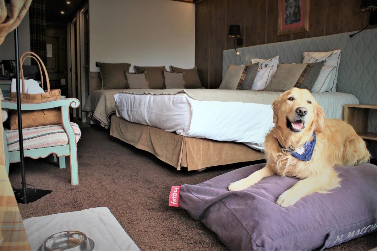 Animal ou animaux domestique(s) séjournant avec des clients dans l'établissement Hôtel Macchi Restaurant & Spa