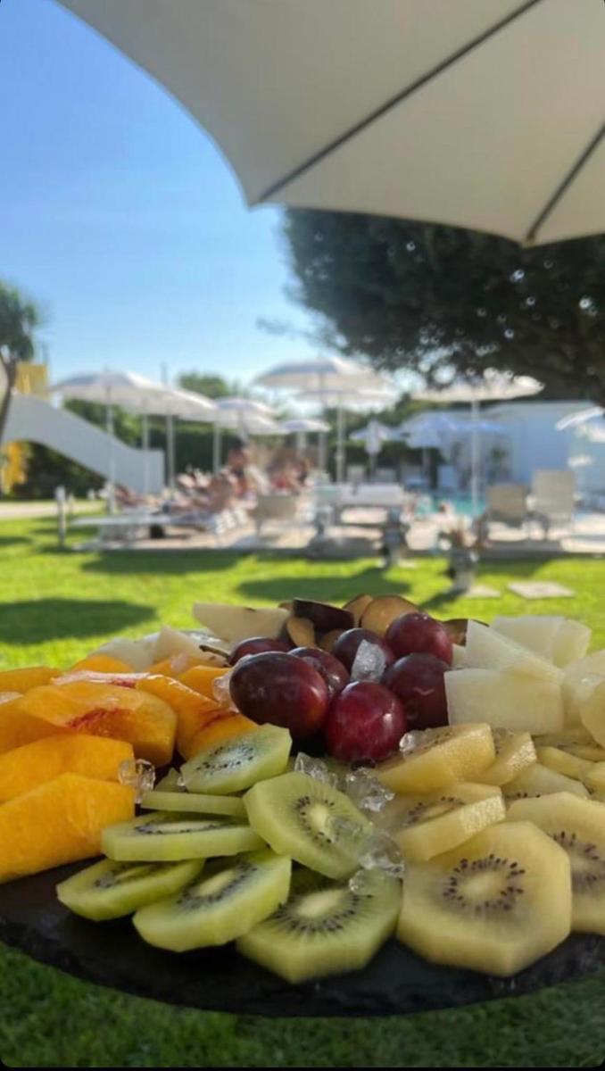 Il Leone Di Mare - Housity