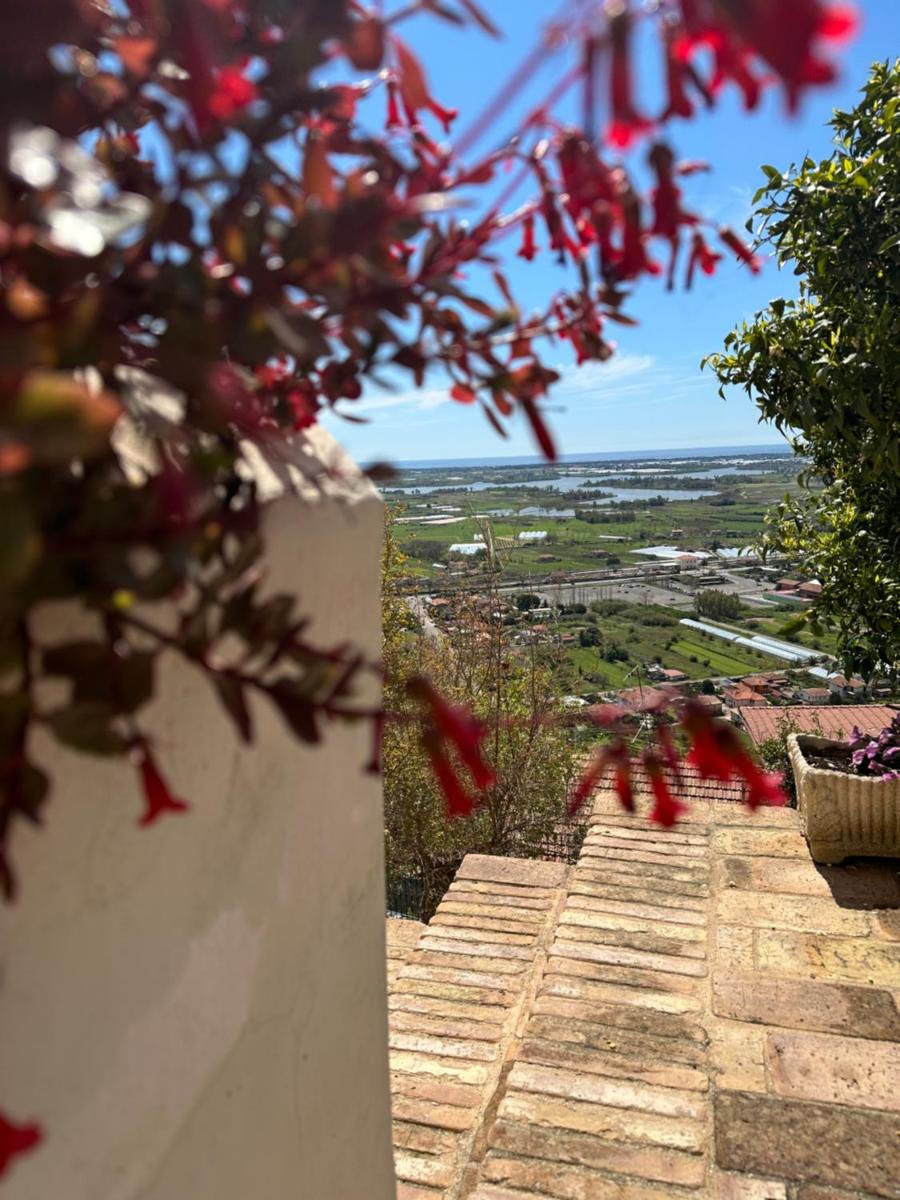 La bella vista - Housity