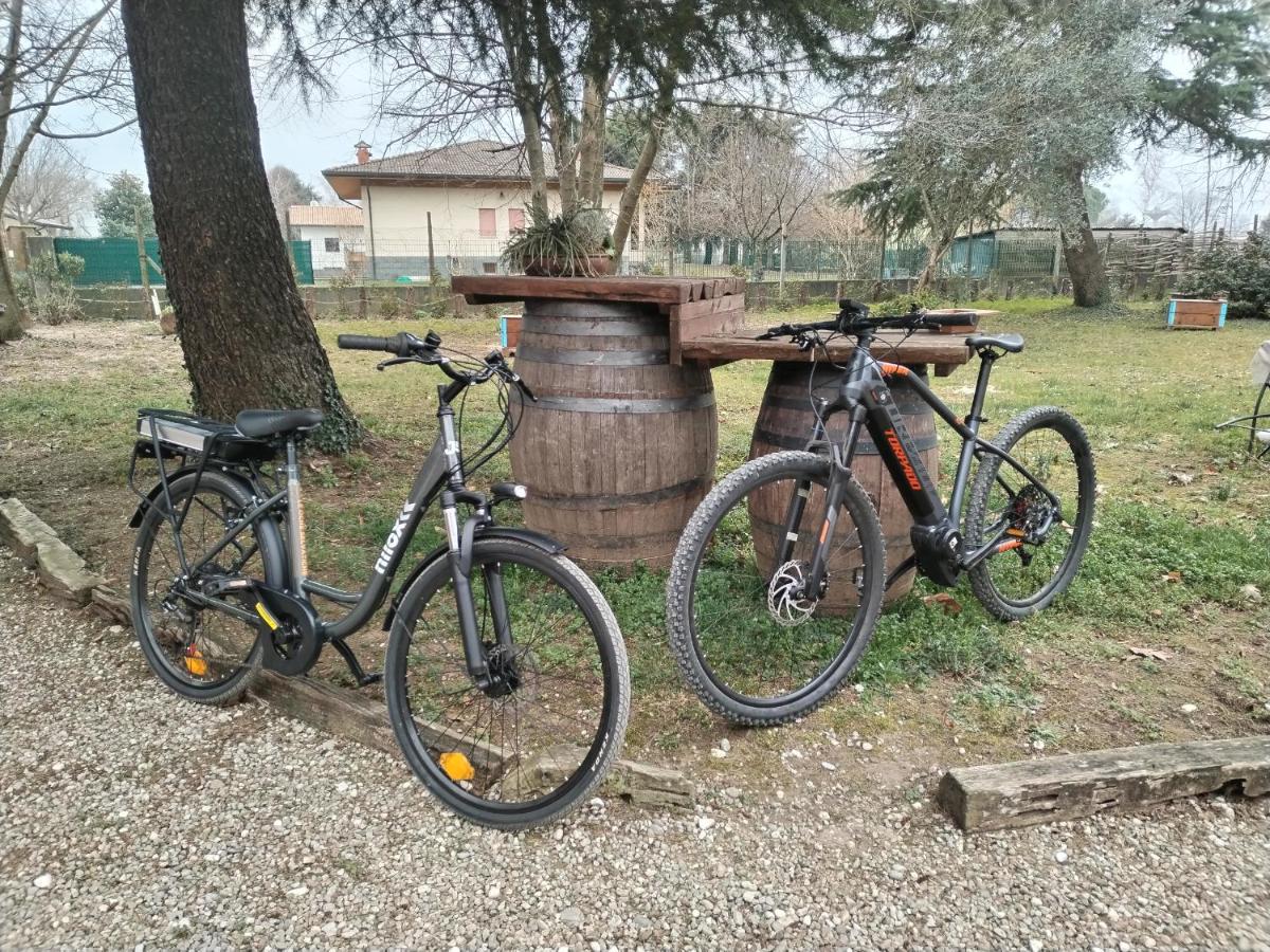 Agriturismo Le oche selvatiche - Housity