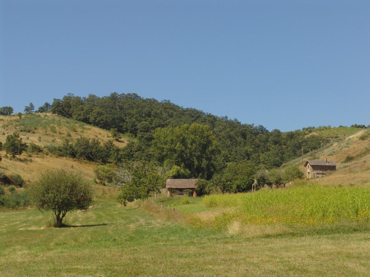 Quinta da Alagoa - Housity
