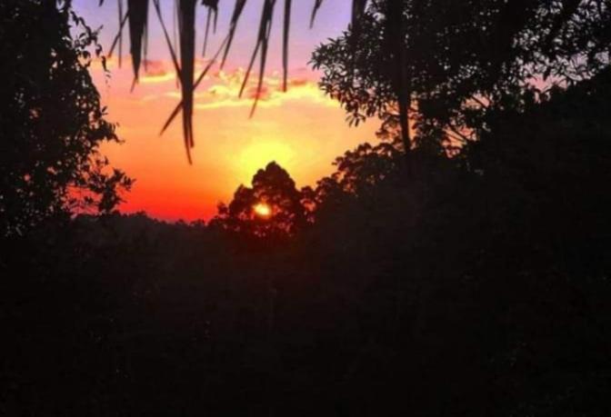 ORANGUTAN TREKKING LODGE Only Book Jungle trek with us - Housity
