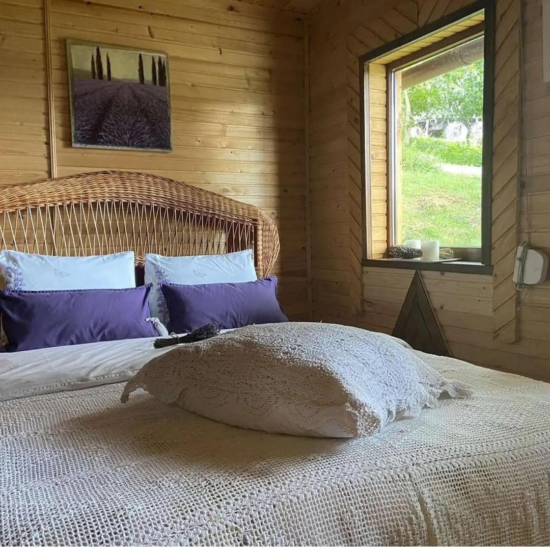 Lavender Valley - Housity