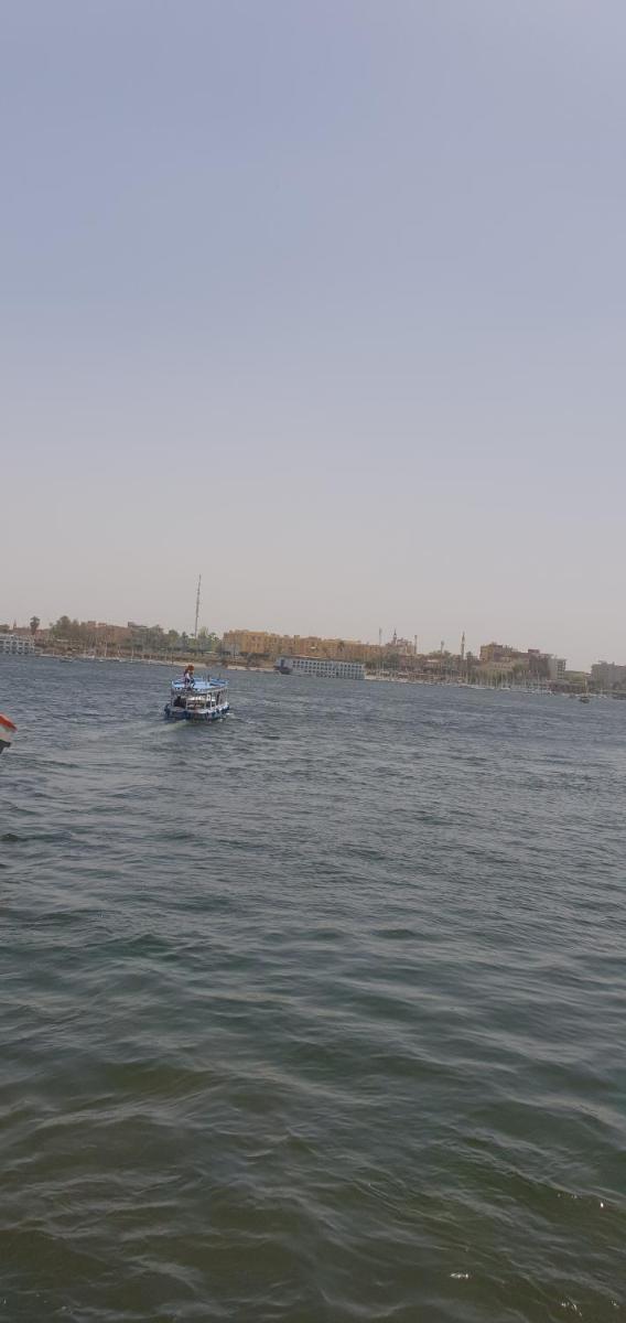 Nile Sunrise Felucca Boat Private Rental - Housity