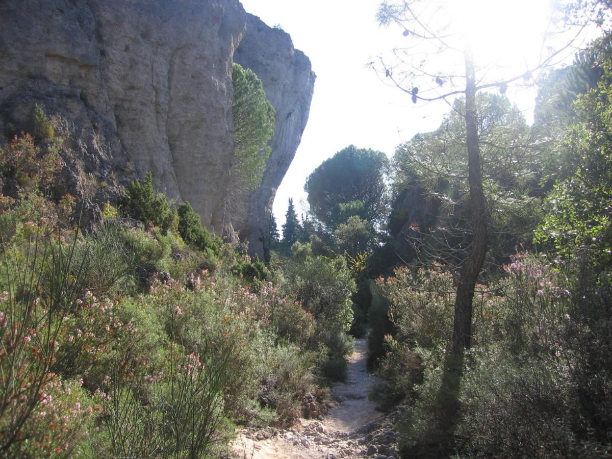 Paysage naturel près de l'hôtel