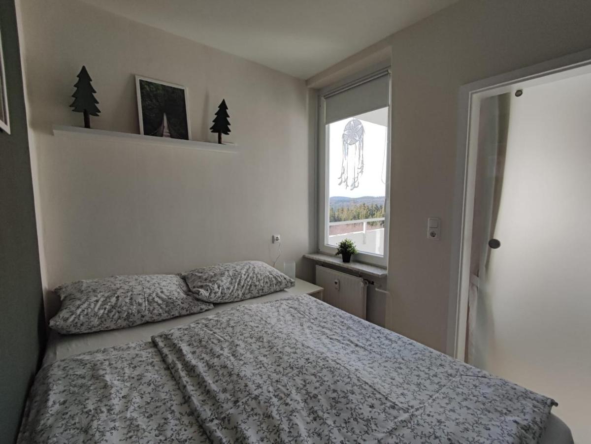 Ferienwohnung Skadi, Hahnenklee - Housity