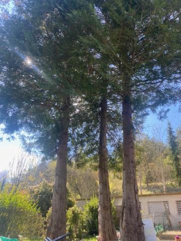 VIRGINIE - Housity