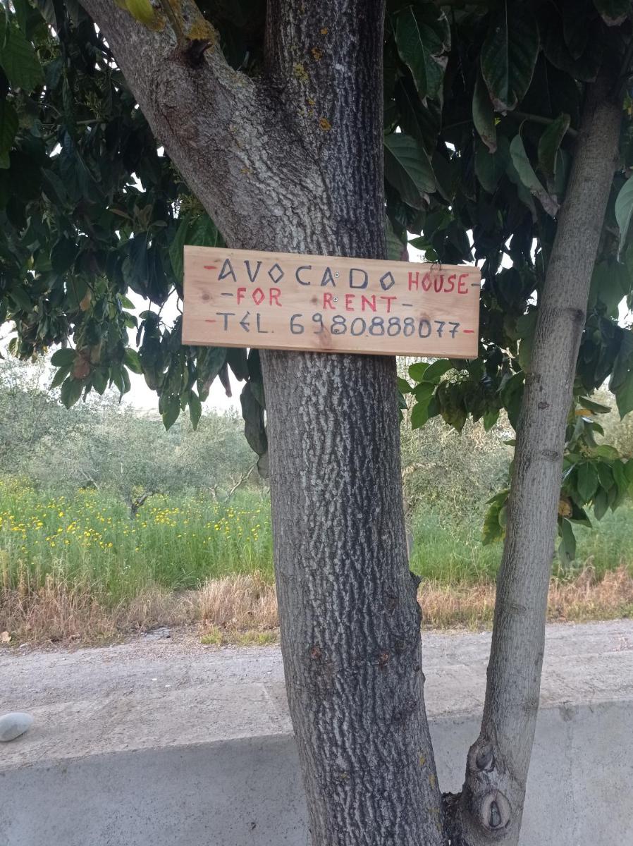 Avocado house - Housity