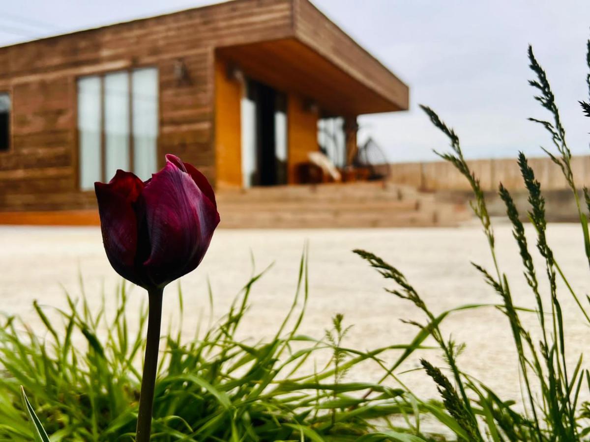 Suitetrails - Eco house villa jeo