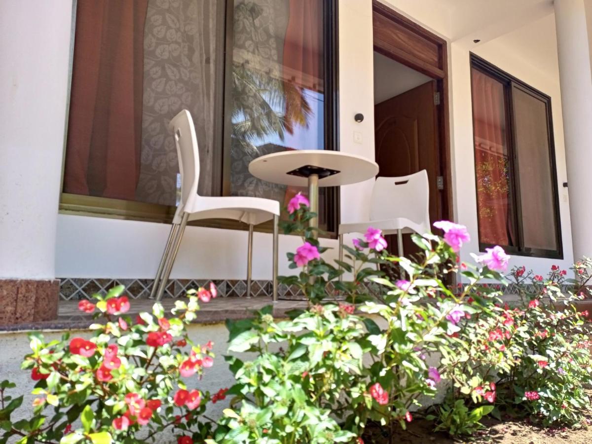 Cassiopeia Nest - Housity