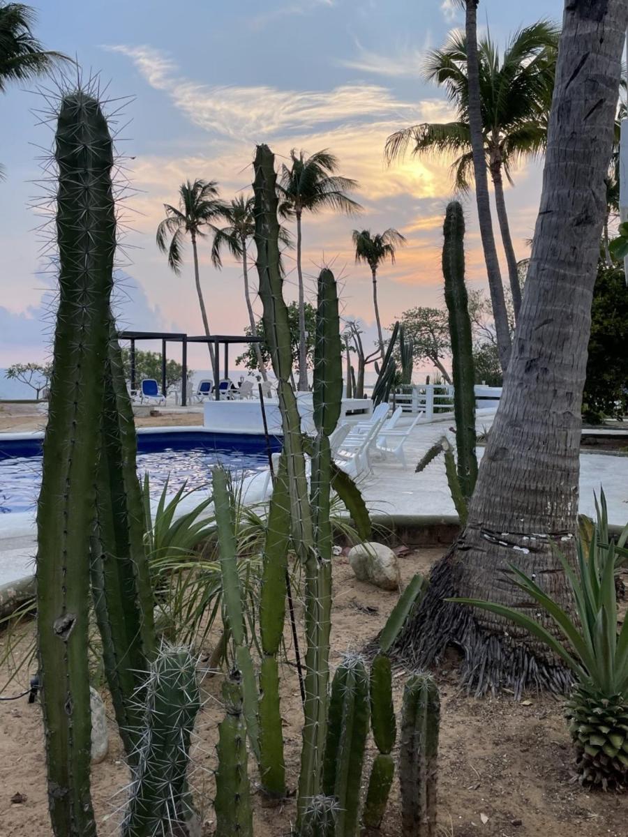Hotel Villa Mexicana Puerto Escondido - Housity