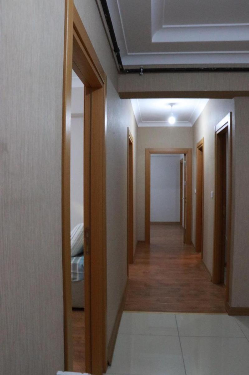Akar - Housity