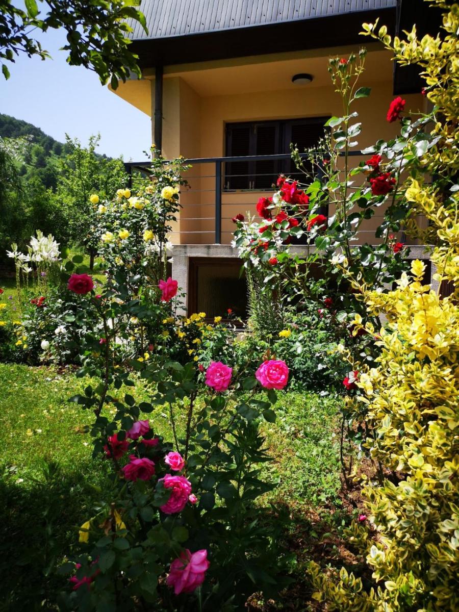 House Kulic - Housity