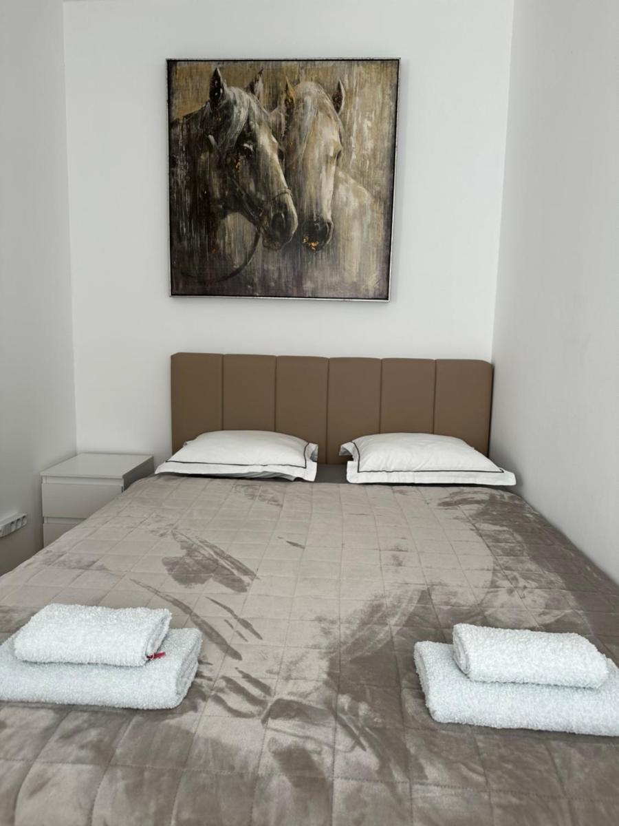 Aura Apartment - Housity