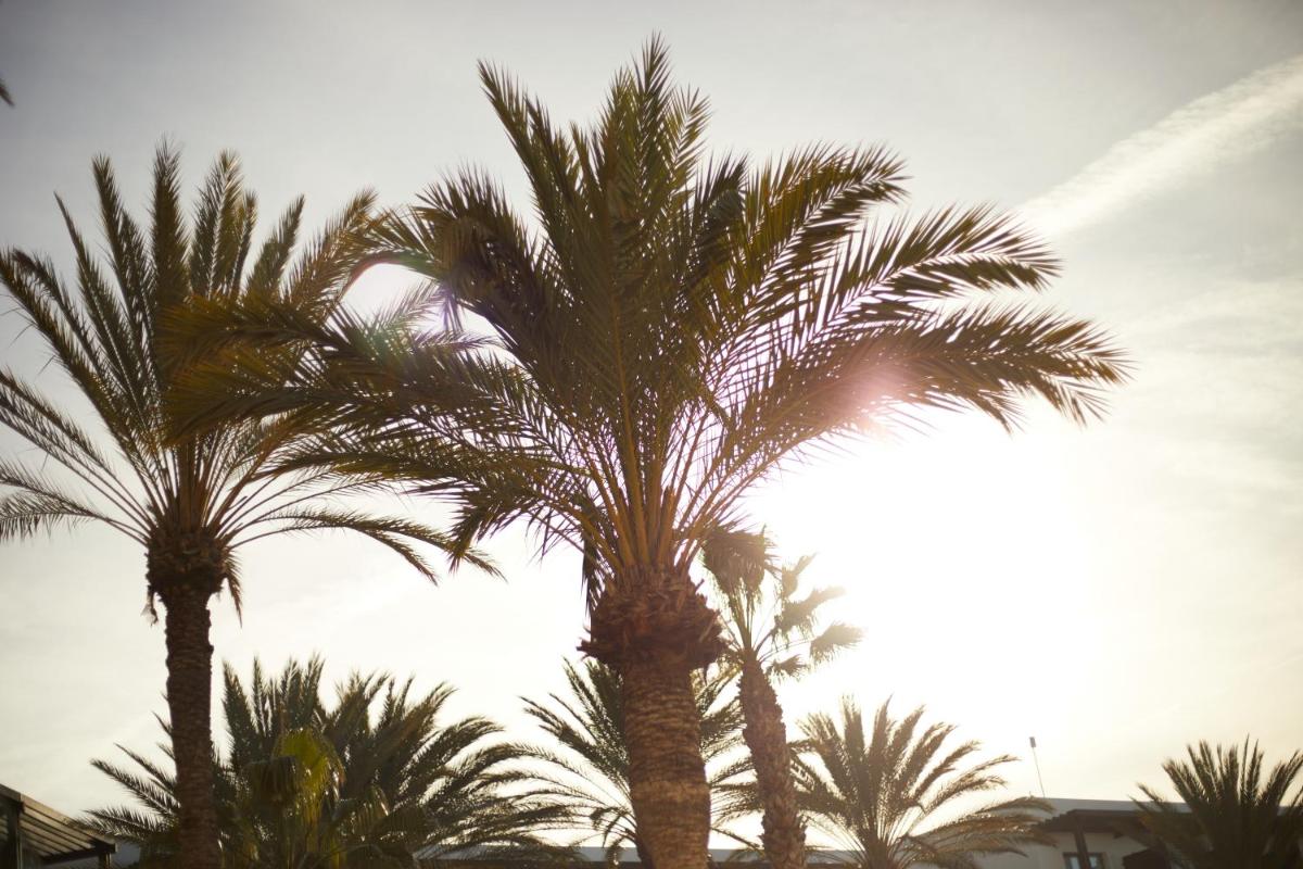 Imagen de la galería de Secrets Lanzarote Resort & Spa - Adults Only (+18), en Puerto Calero
