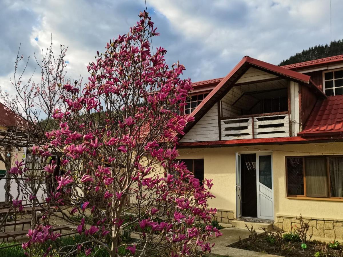 Casa Carmen - Housity