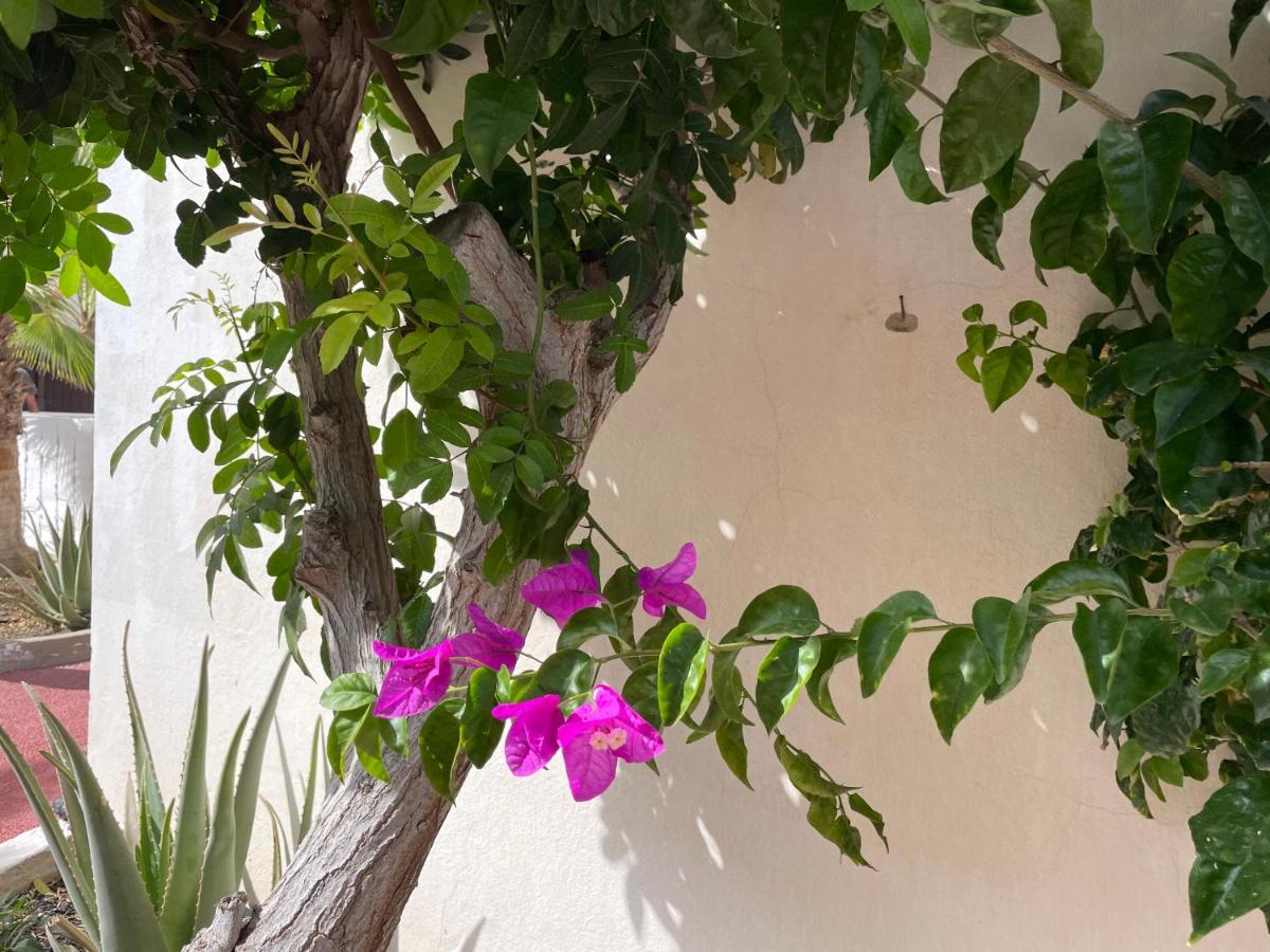 Parque Holandés Fuerteventura casa Mayte - Housity