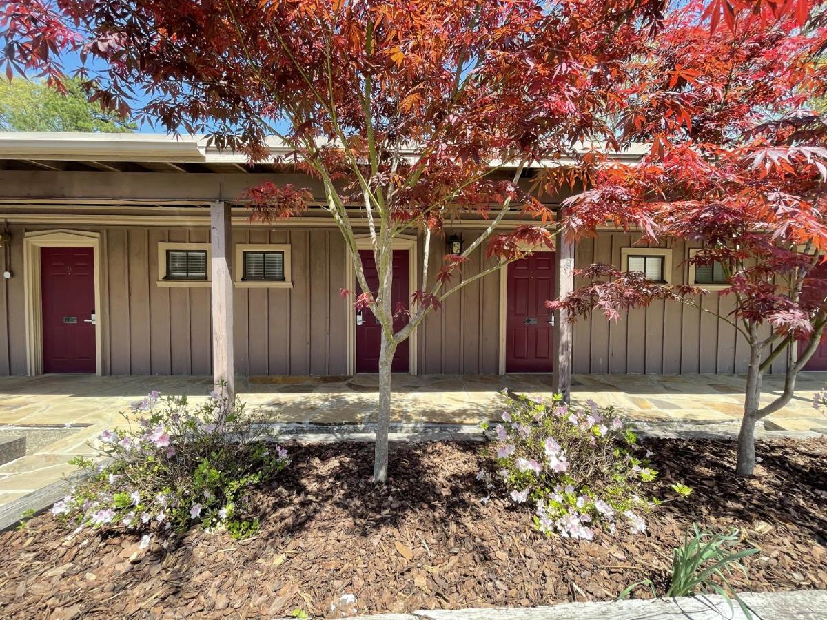 Mountain Harbor King Guest Room on Lake Ouachita - Housity