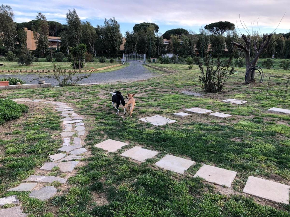 La casina di Bice-Casa Matilde - Housity