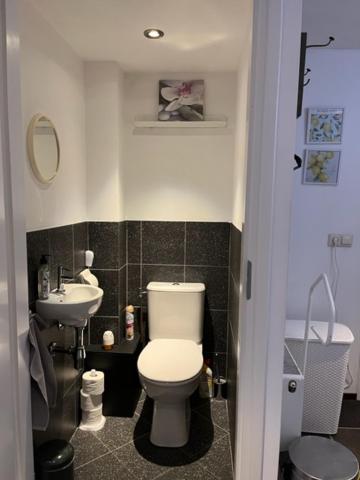Jaguars Residence - Housity