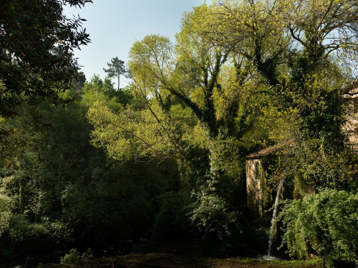 Paisaje cerca de este hotel
